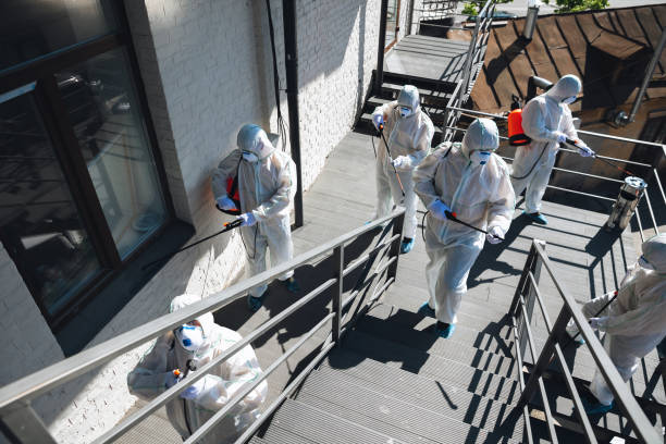 Mold Documentation for Insurance Claims in Victorville, CA