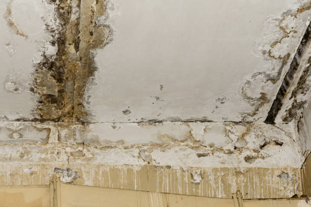 Best HVAC Mold Inspection and Cleaning  in Victorville, CA