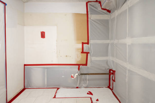Best Industrial Mold Remediation  in Victorville, CA