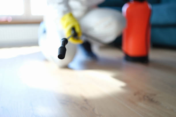 Trusted Victorville, CA Mold Removal Experts
