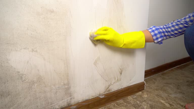 Best Mold Prevention Services  in Victorville, CA