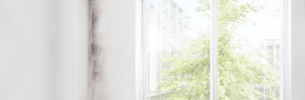 Best Indoor Air Quality Assessment  in Victorville, CA