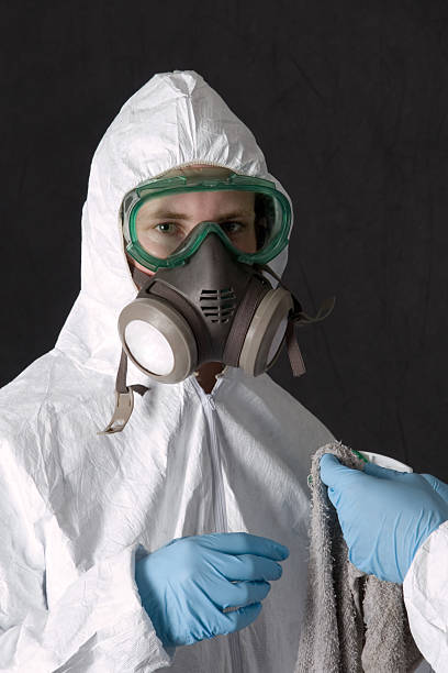 Biohazard Mold Removal in Victorville, CA